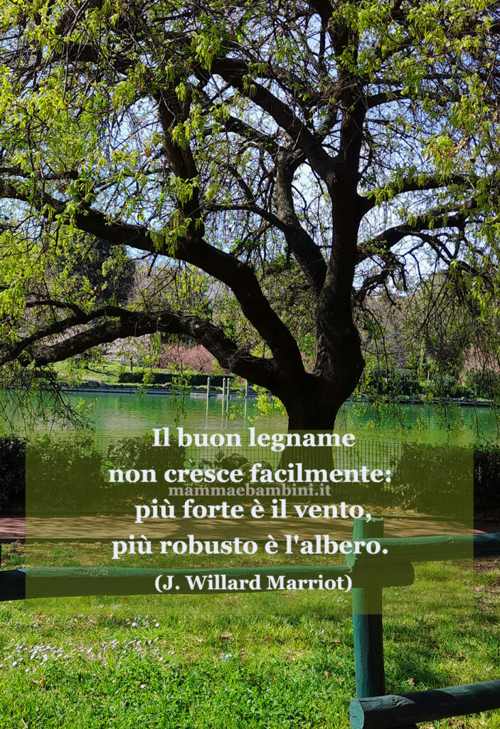 frase del giorno difficolta 1