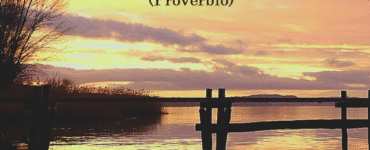 frase del giorno esperienza