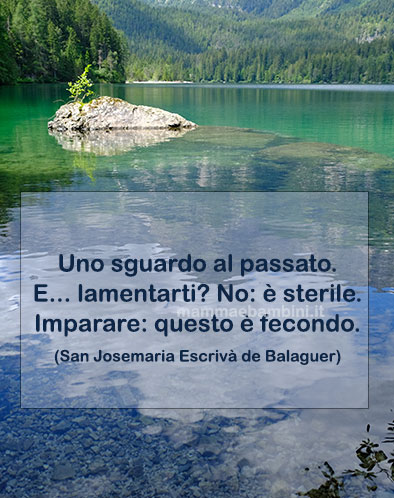 Frase del giorno 29 marzo su imparare 1 frase del giorno imparare