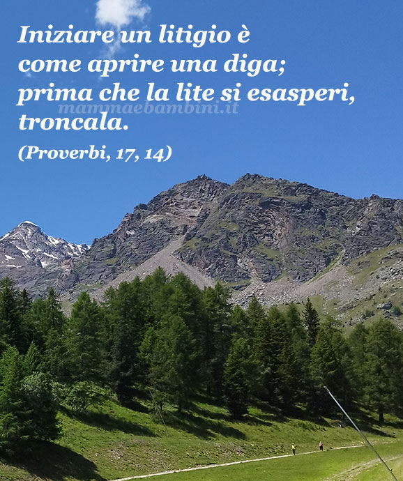 frase del giorno litigare