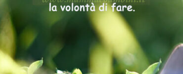 frase del giorno maturita