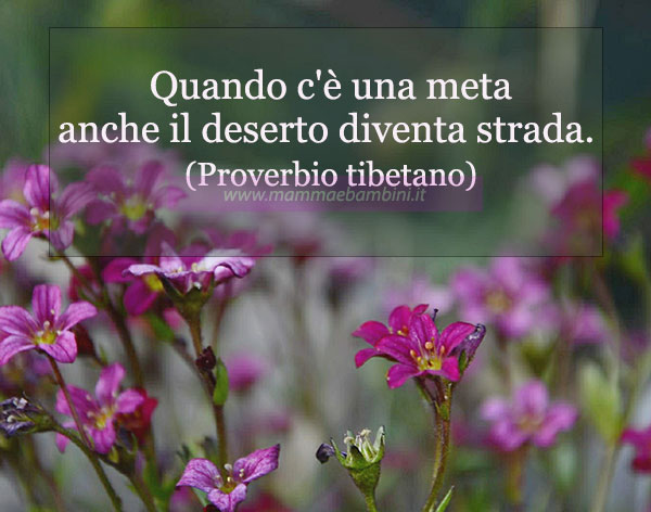 Frase del giorno 26 marzo sulle mete 1 frase del giorno meta