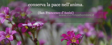 frase del giorno pace