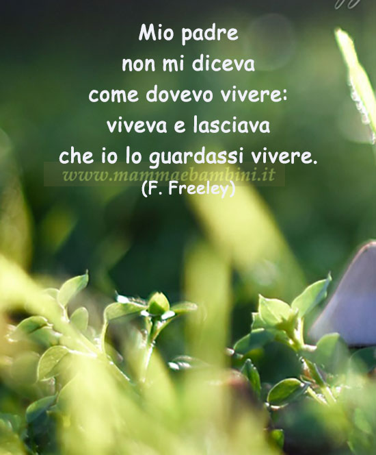 Frase del giorno 19 marzo sui papa' 1 frase del giorno papa