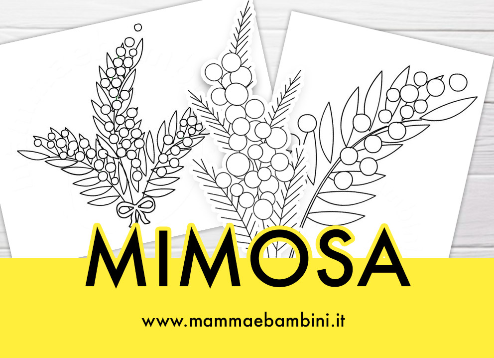 Mimosa disegni 1 mimosa disegni