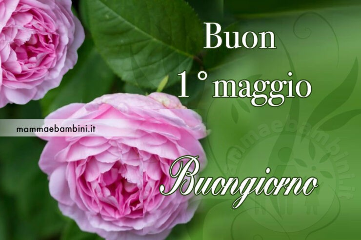 Buon 1 maggio buongiorno - Mamma e Bambini
