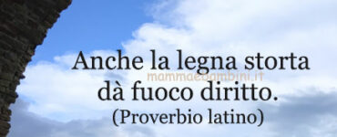 frase del giorno