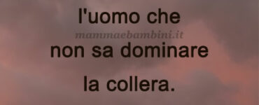 frase del giorno collera