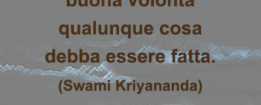 frase del giorno felicita