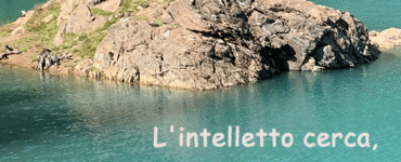 frase del giorno intelletto