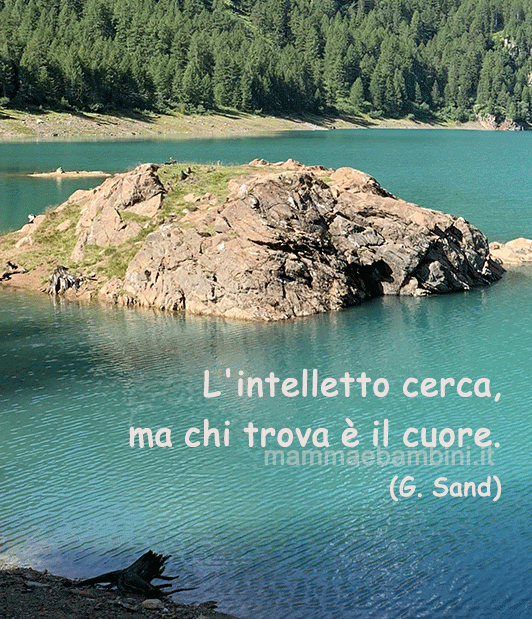 frase del giorno intelletto