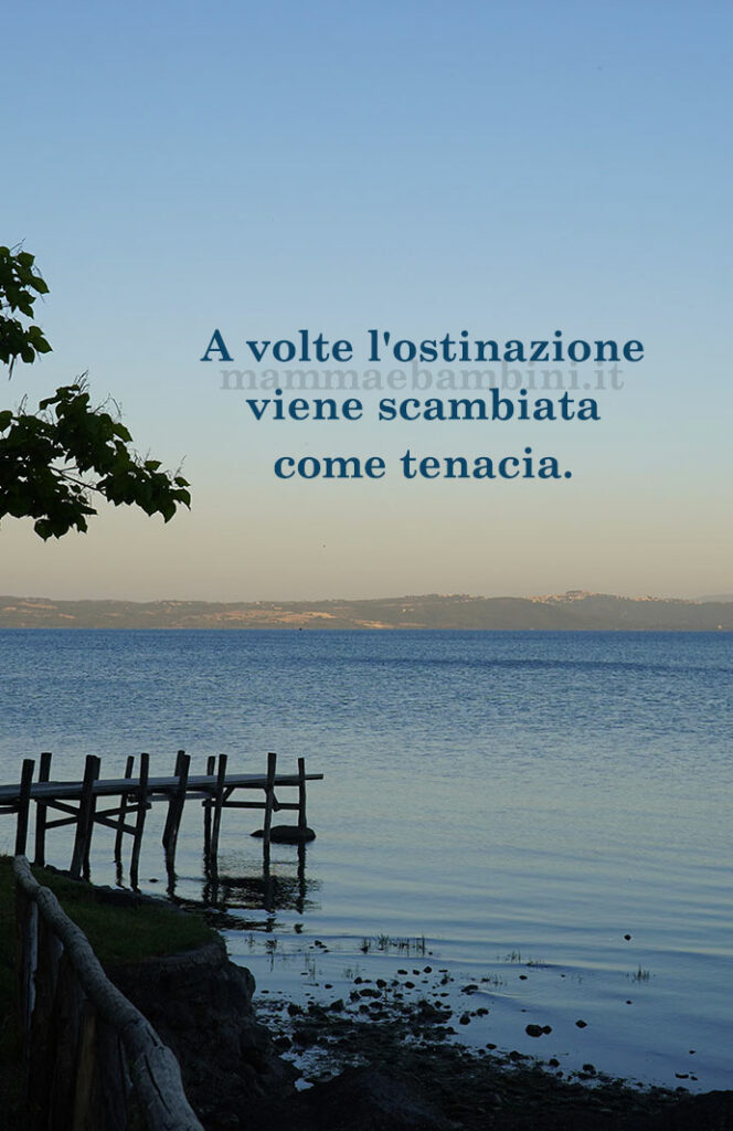 frase del giorno tenacia