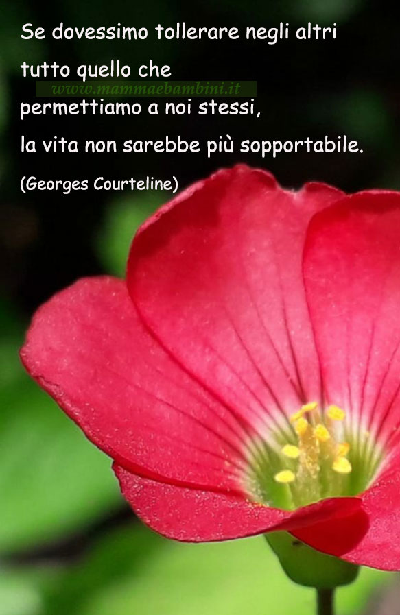 frase del giorno tollerare