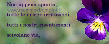 frase del giorno umorismo