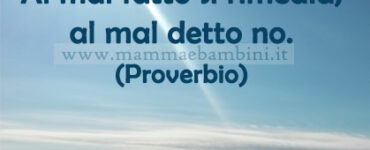 frase del giorno