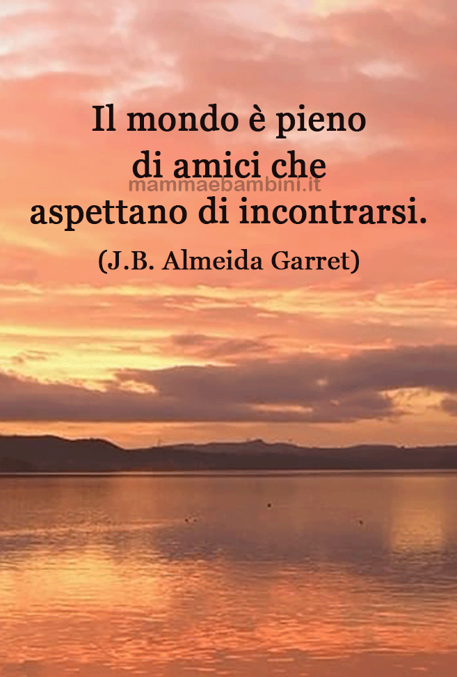 frase del giorno amici
