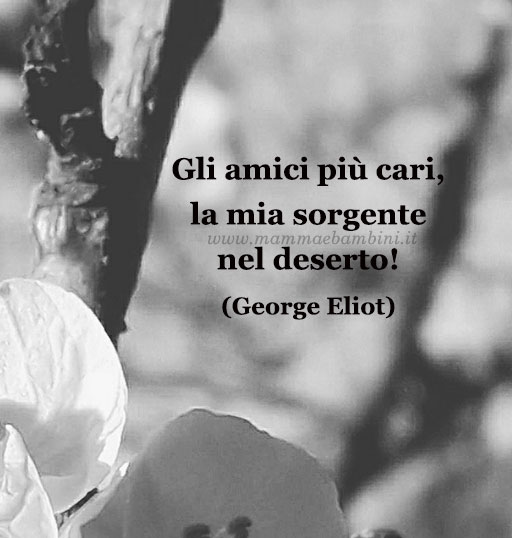Frase del giorno 11 maggio sugli amici 1 frase del giorno amici