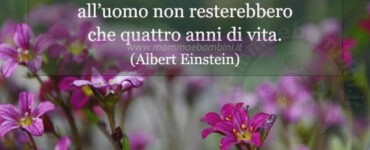 frase del giorno ape 1