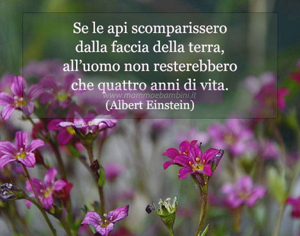 frase del giorno ape 1