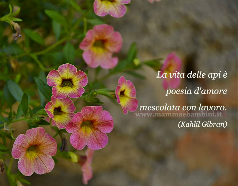 Frase del giorno 17 maggio sul lavoro delle api 1 frase del giorno api