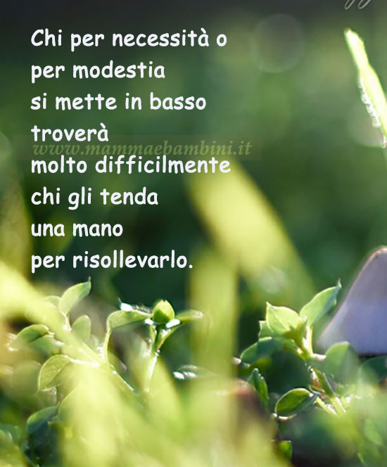 Frase del giorno 4 maggio sulla vita 1 frase del giorno comportamento