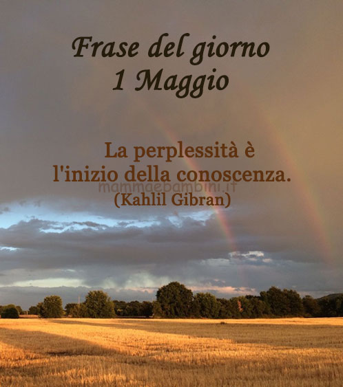 Frase del giorno 1 maggio sulla conoscenza 1 frase del giorno conoscenza
