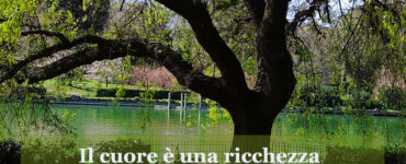 frase del giorno cuore