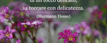 frase del giorno delicatezza