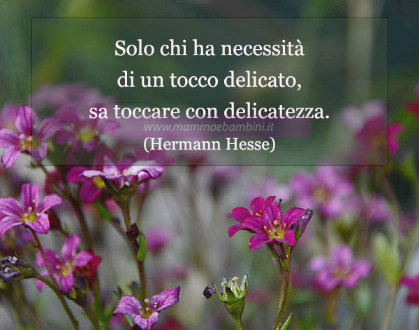 Frase del giorno 14 maggio sulla dolcezza 1 frase del giorno delicatezza