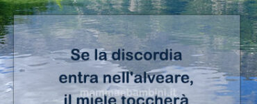 frase del giorno discordia