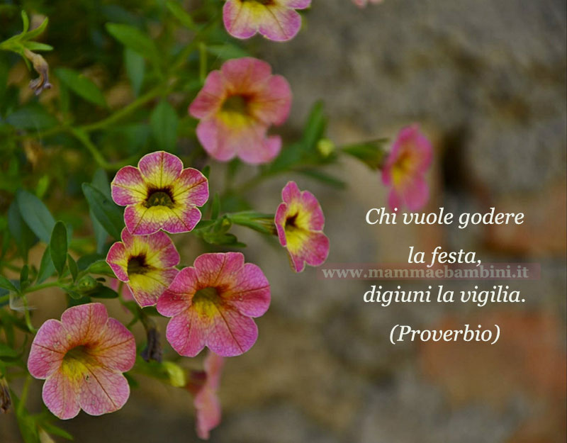 Frase del giorno del 20 maggio 1 frase del giorno festa