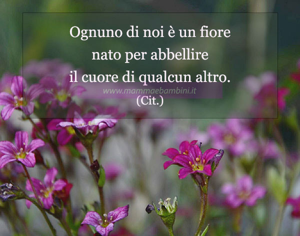 frase del giorno fiore