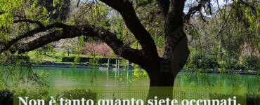 frase del giorno giornata delle api