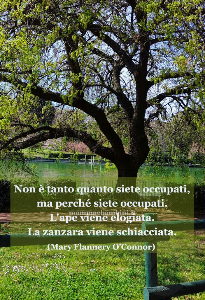 Frase del giorno 20 maggio sulle api 1 frase del giorno giornata delle api