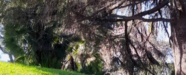 frase del giorno mamme