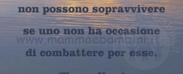 frase del giorno opinioni 2