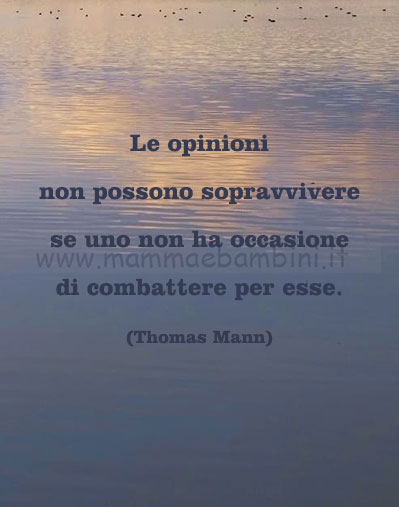 Frase del giorno 30 maggio sulle opinioni 1 frase del giorno opinioni 2