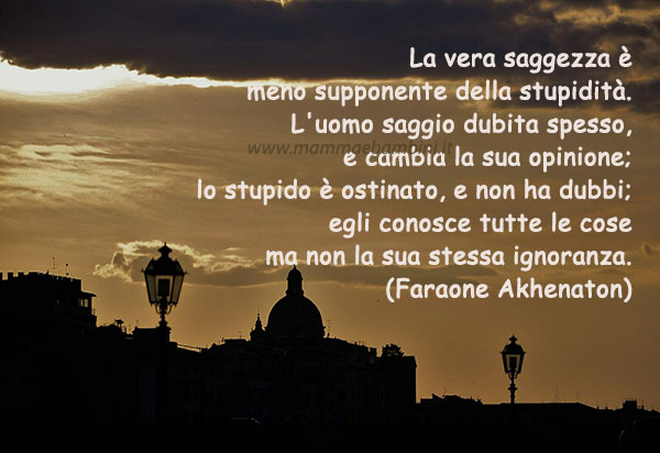 Frase del giorno 7 maggio sulla stupidita' 2 frase del giorno saggezza