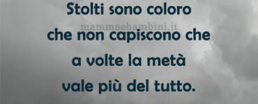 frase del giorno stolti