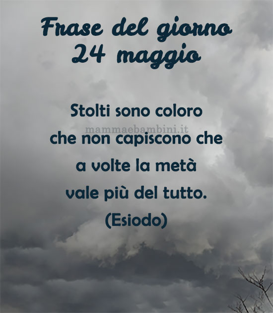 frase del giorno stolti