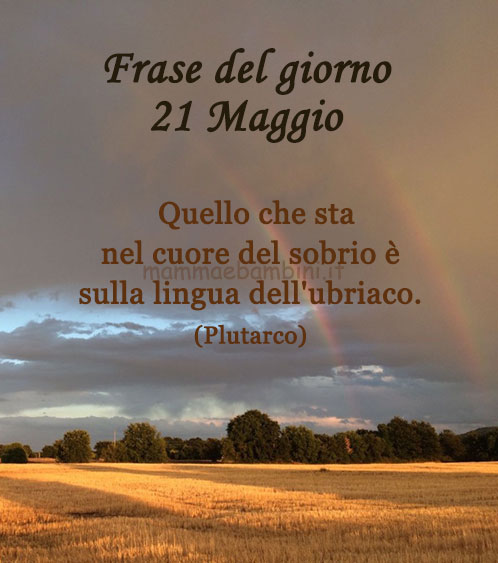 frase del giorno verita
