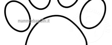 zampa gatto