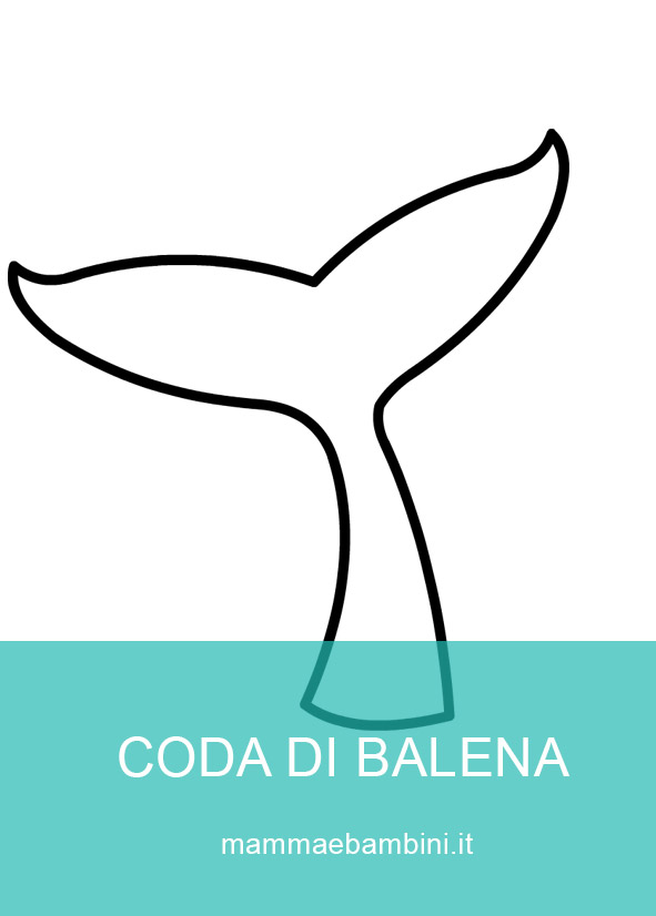 Coda di balena 1 coda balena