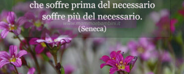 frase del giorno 11