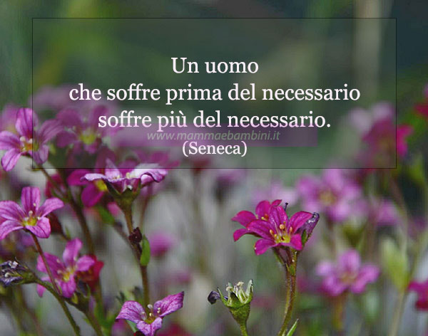 frase del giorno 11