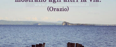 frase del giorno 12