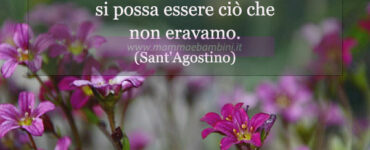 frase del giorno 4