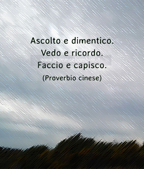 frase del giorno 7