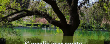 Frase del giorno 29 giugno su amare 5 frase del giorno amare 2