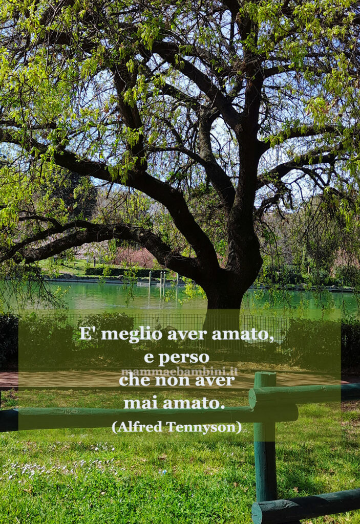 frase del giorno amare 2